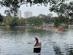 -荔湾湖公园