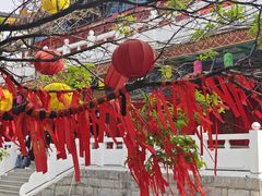 -曹州牡丹园