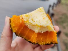 -北大佟园(北京大学店)