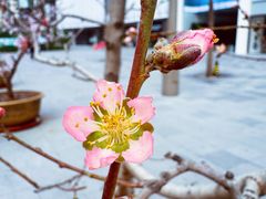 -王府井步行街