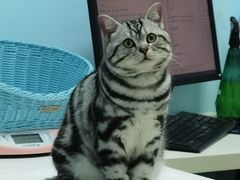 -纳吉亚猫专科动物医院博雅分院