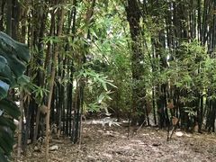 -马洛雷勒花园