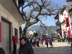 -传统手工面