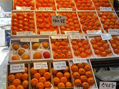 -西归浦每天偶来市场