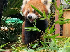 -云南野生动物园