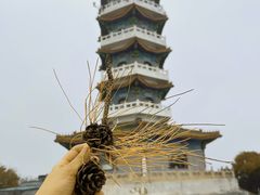 -北京十三陵国家森林公园蟒山景区