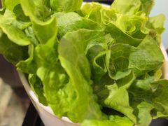 -八合里潮汕鲜牛肉火锅(上海汇智广场店)