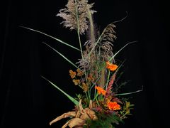 -荷兰布尔玛国际花艺学院