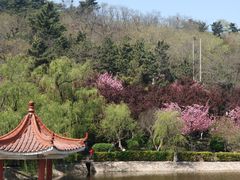 -北岭山森林公园