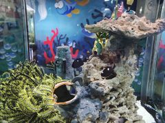 -太平洋海底世界