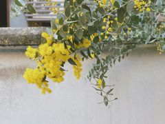 -懒鱼时光馆(沙坪坝店)