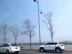 -哈尔滨大剧院