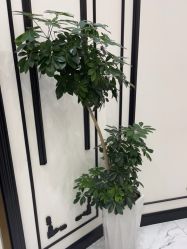 -YESIDO椰岛造型