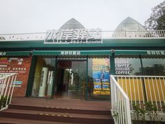 -新江湾城公园