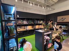 -FAIRYLAND龙族星球主题餐厅(凯丹广场店)