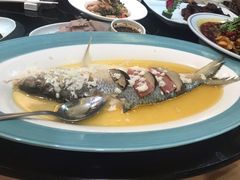 酒酿蒸鲥鱼-新南华大酒店(广中店)