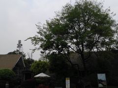 -老房子金沙元年川菜食府·花园餐厅(金沙店)