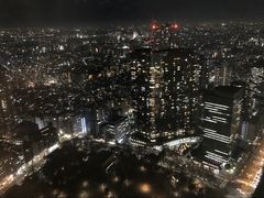 -东京都厅舍