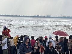 -观潮胜地公园