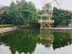 -晓港公园