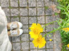 -西湖风景区-江洋畈生态公园