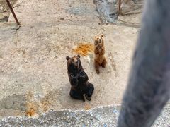 -哈尔滨北方森林动物园