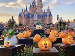 -上海迪士尼度假区