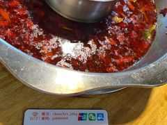 -金鼎雪山牦牛杂火锅(理县总店)