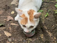 -终南山南五台景区