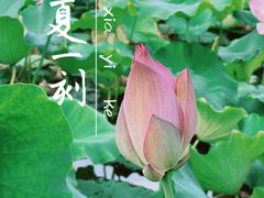 -南昌动物园