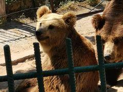 -秦皇岛野生动物园