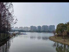-南翔镇银翔湖公园