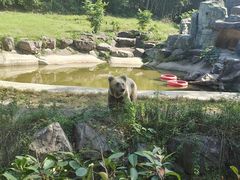 -宁波野生动物园