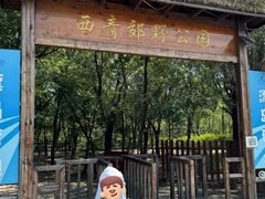 -西青郊野公园