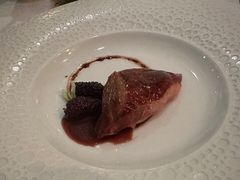 -蝶舍·MAISON PAPILLON