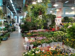 -双季花艺园艺市场(浦东店)