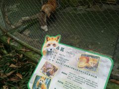 -杭州动物园