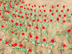 -长春公园(普阳街道)