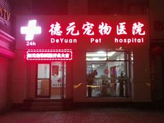 -德元·美联众合24小时动物医院(总院)
