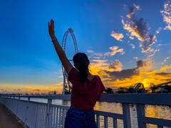 -宝安西湾红树林湿地公园