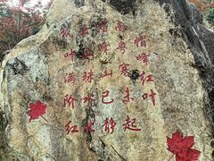 -广州市帽峰山景区