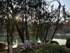 -白马涧龙池景区