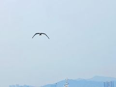 -映像威海·威海宴(威高广场店)