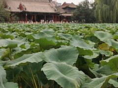 -莲池书院博物馆