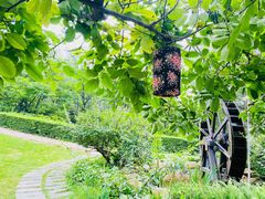 -云峰山自然风景区