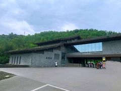-都江堰中华大熊猫苑