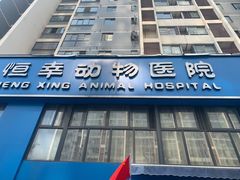 -恒幸动物医院·急重症转诊中心·神经内外科·CT核磁