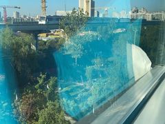 -龙阳路磁悬浮列车总站-停车场