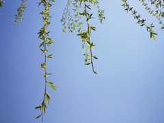 -天河儿童公园