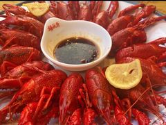 -杨氏青龙虾·羊蝎子(托乐嘉店)